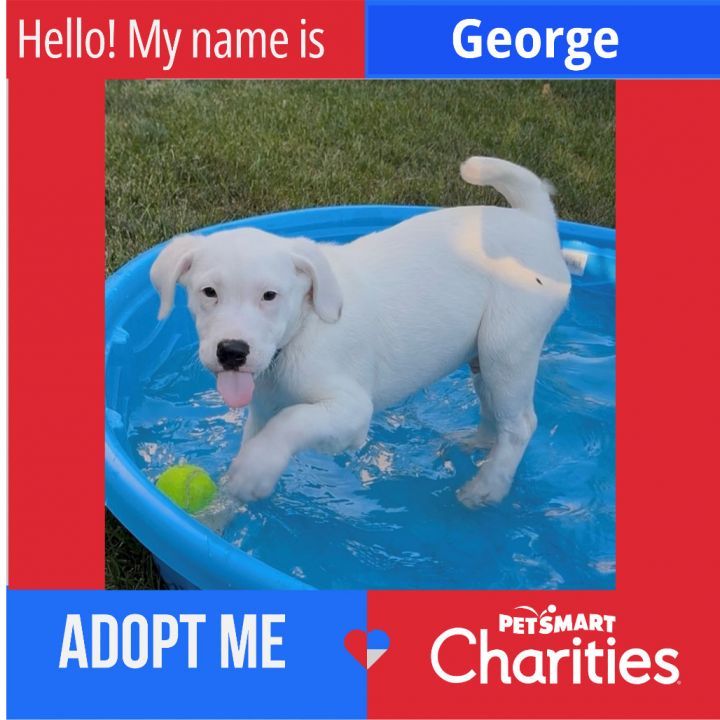 George 1