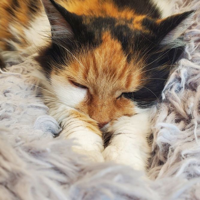 Mildred