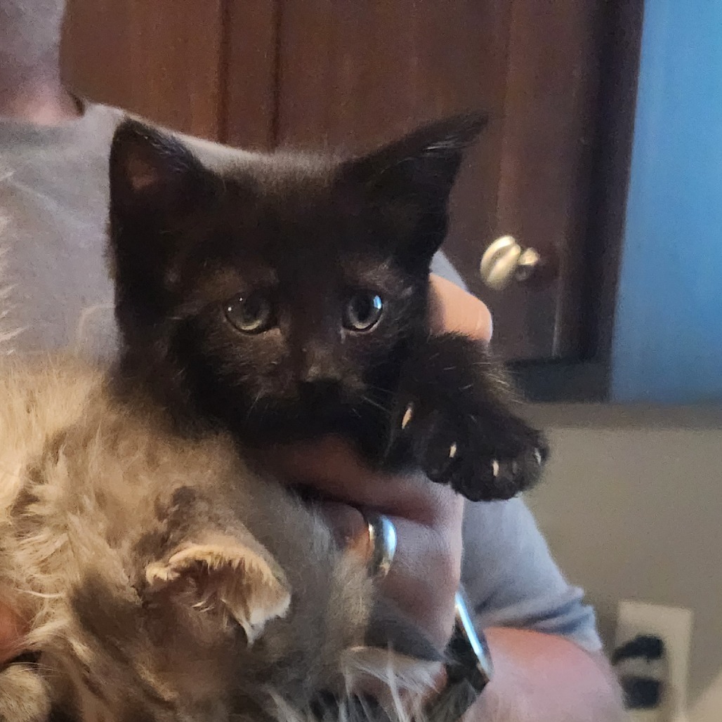 Salem