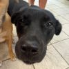 Delilah 4779 photo 2