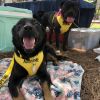Delilah 4779 photo 3