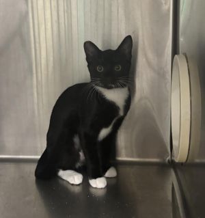 Hi Im Granite Im a new arrival from FieldHaven so the staff is still getting to know me However