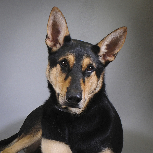 Opie