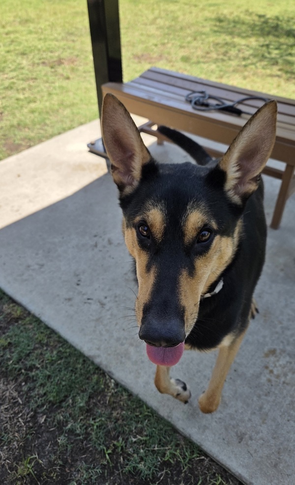 Opie