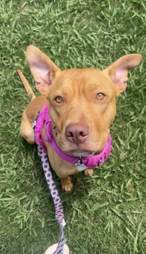 Sunny is a sweet and sensitive soul whos easy to handle and even easier to love Calm and patient 