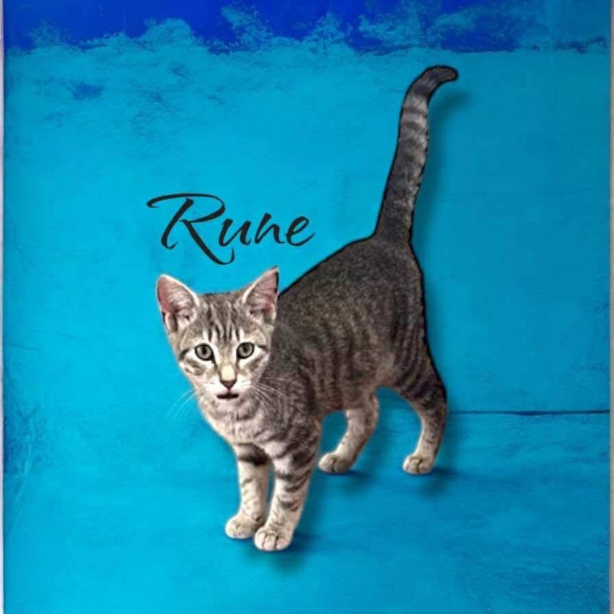 Rune