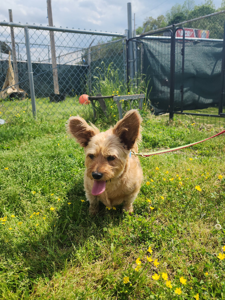 Sadie Marie
