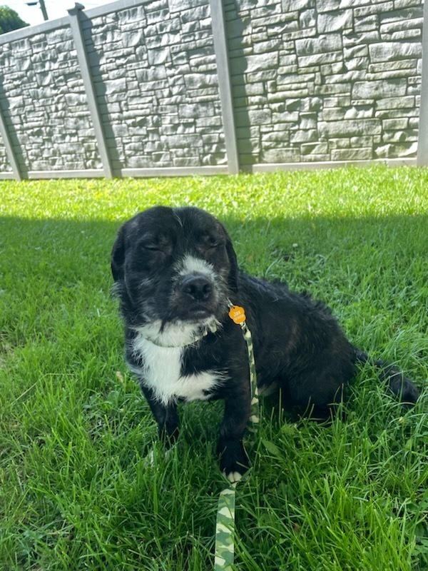 Brothers : Jax
