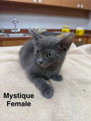 Mystique