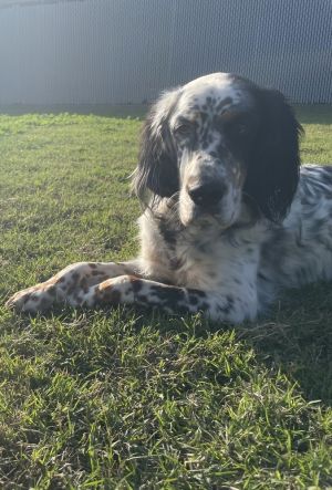Available - Maverik