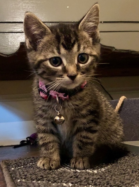 Bernadette 1