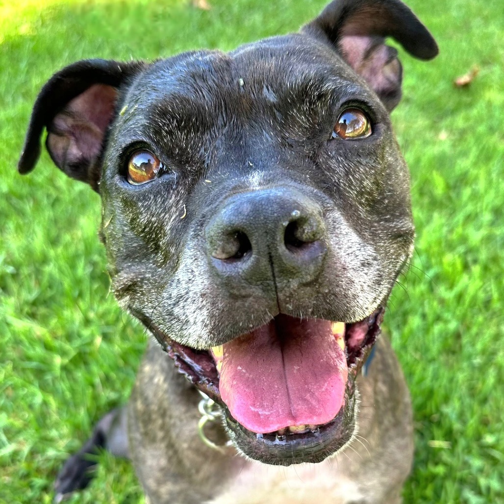 Zoe(C000-321) - Chino Hills Location