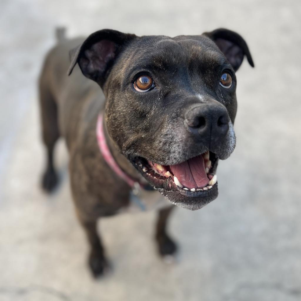 Zoe(C000-321) - Chino Hills Location