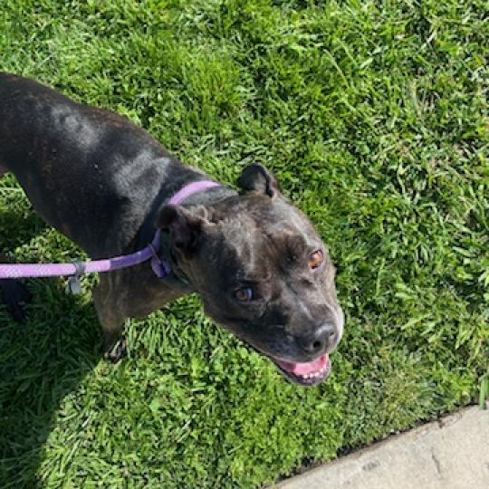 Zoe(C000-321) - Chino Hills Location