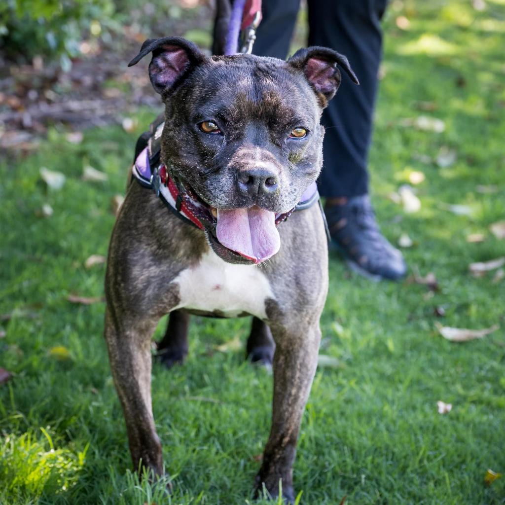 Zoe(C000-321) - Chino Hills Location