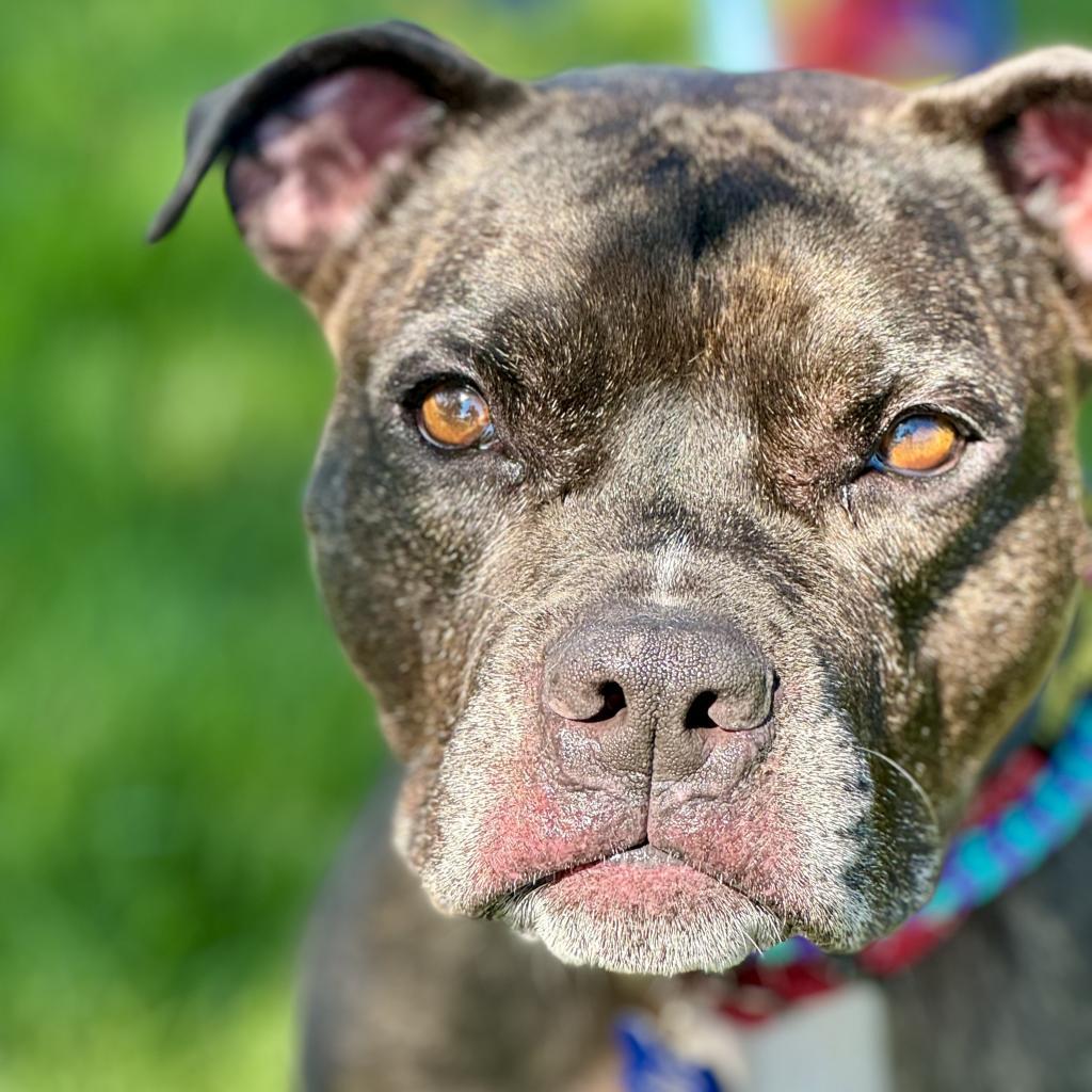 Zoe(C000-321) - Chino Hills Location