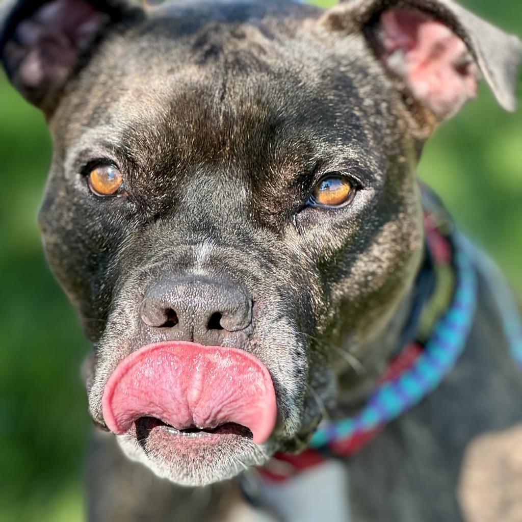 Zoe(C000-321) - Chino Hills Location