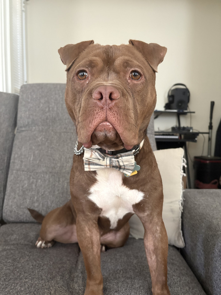 Tyson