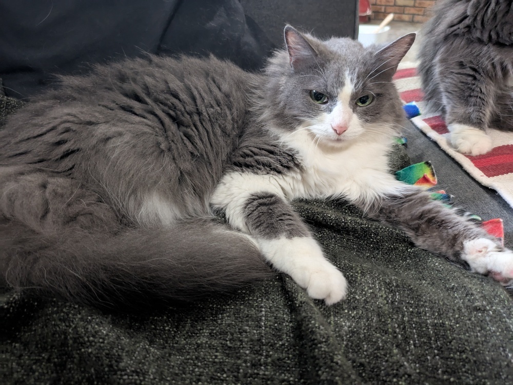 Freyja
