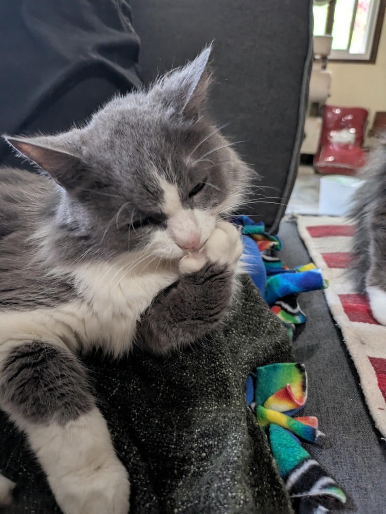 Freyja