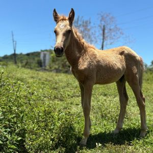 Arlen, Baby Male unknown