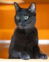 Salem photo 2