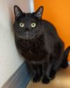 Salem photo 3