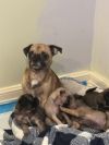 Mother photo 3