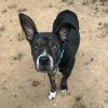 Stitch photo 1