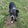 Stitch photo 2