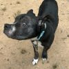 Stitch photo 4