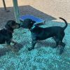 Stitch photo 5