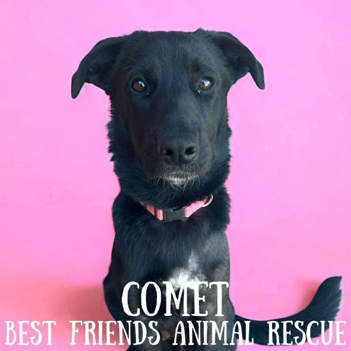 Comet 1