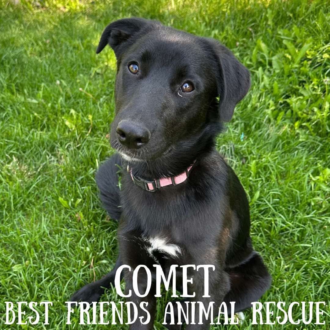 Comet