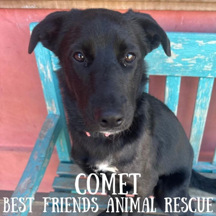 Comet 2
