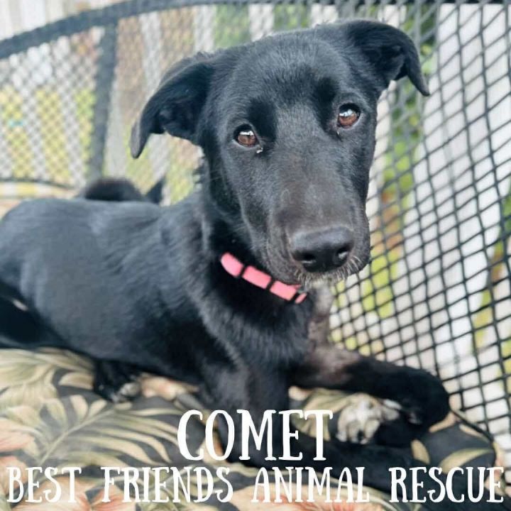 Comet 3