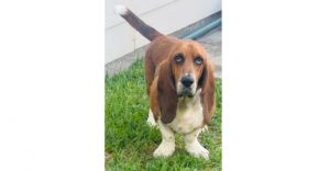 Crush has been through so much but has the sweetest most resilient spirit This 3-year-old boy is a