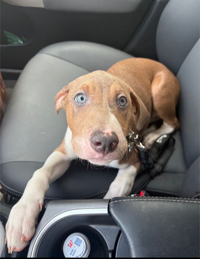 Oscar Martinez (The Office Litter)