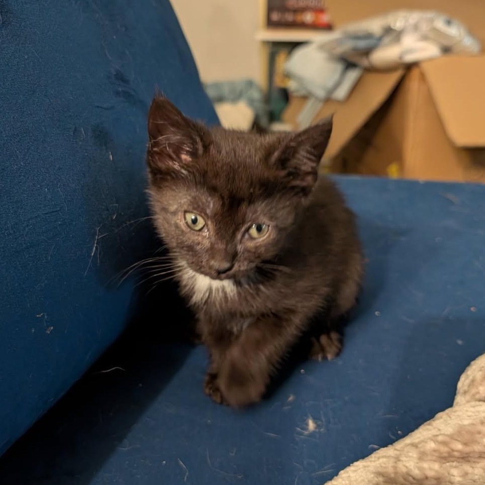 Tiny
