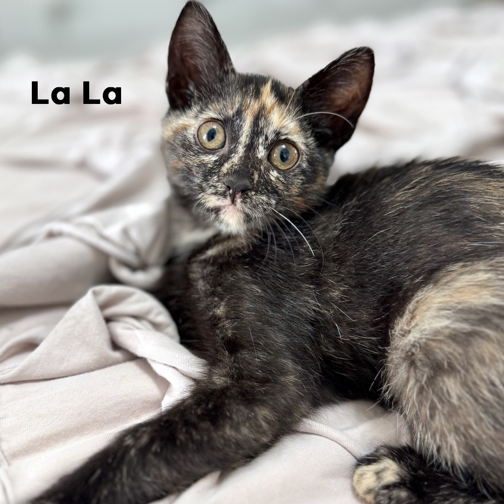 La La