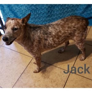 Jack, Baby Male unknown