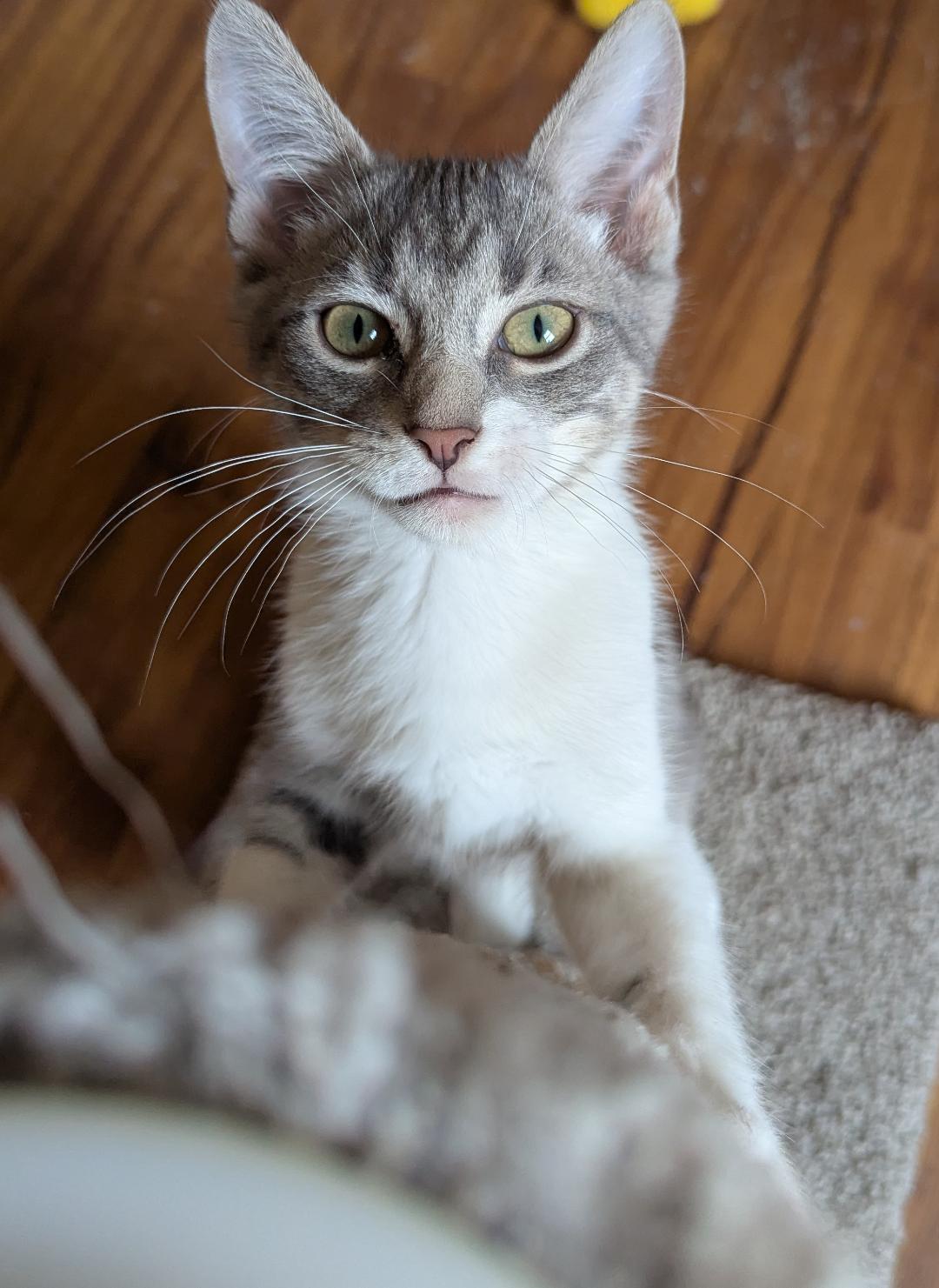 Keaton