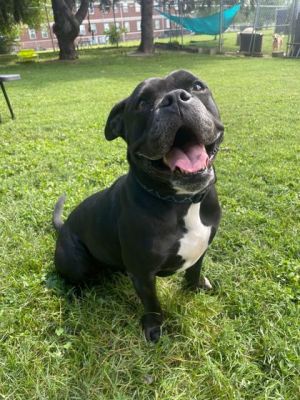 Juno, Young Male unknown