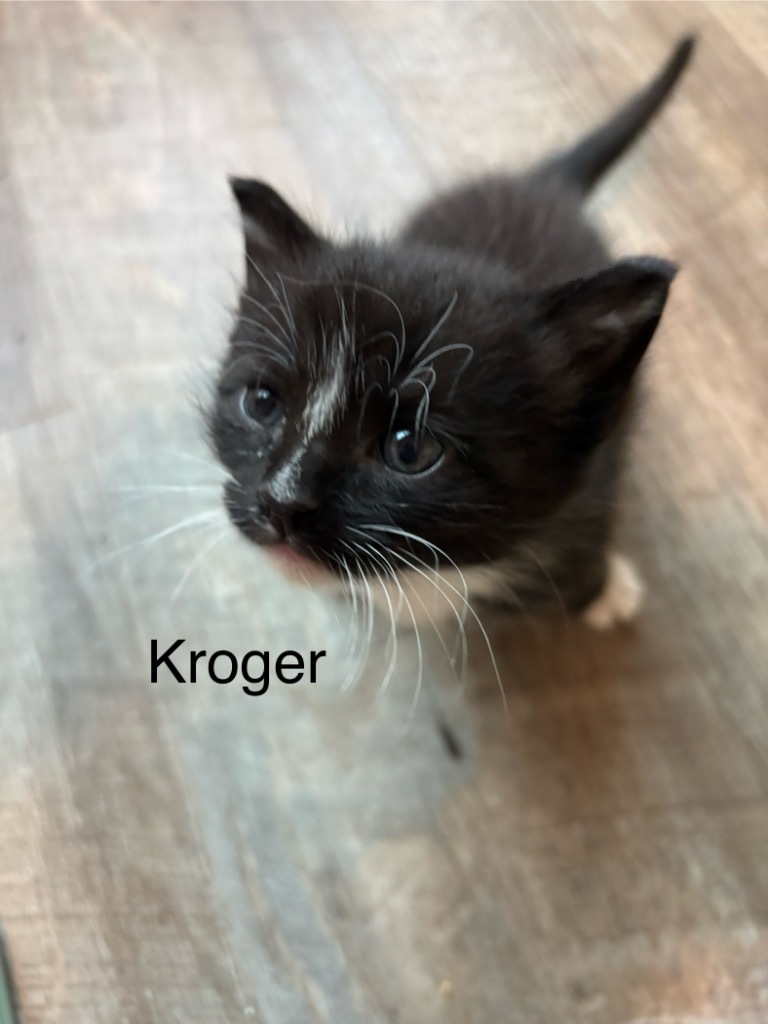 Kroger