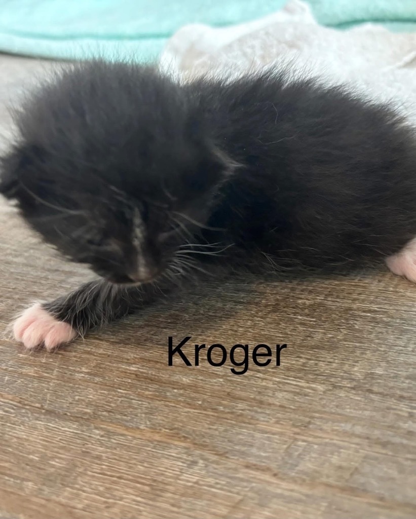 Kroger