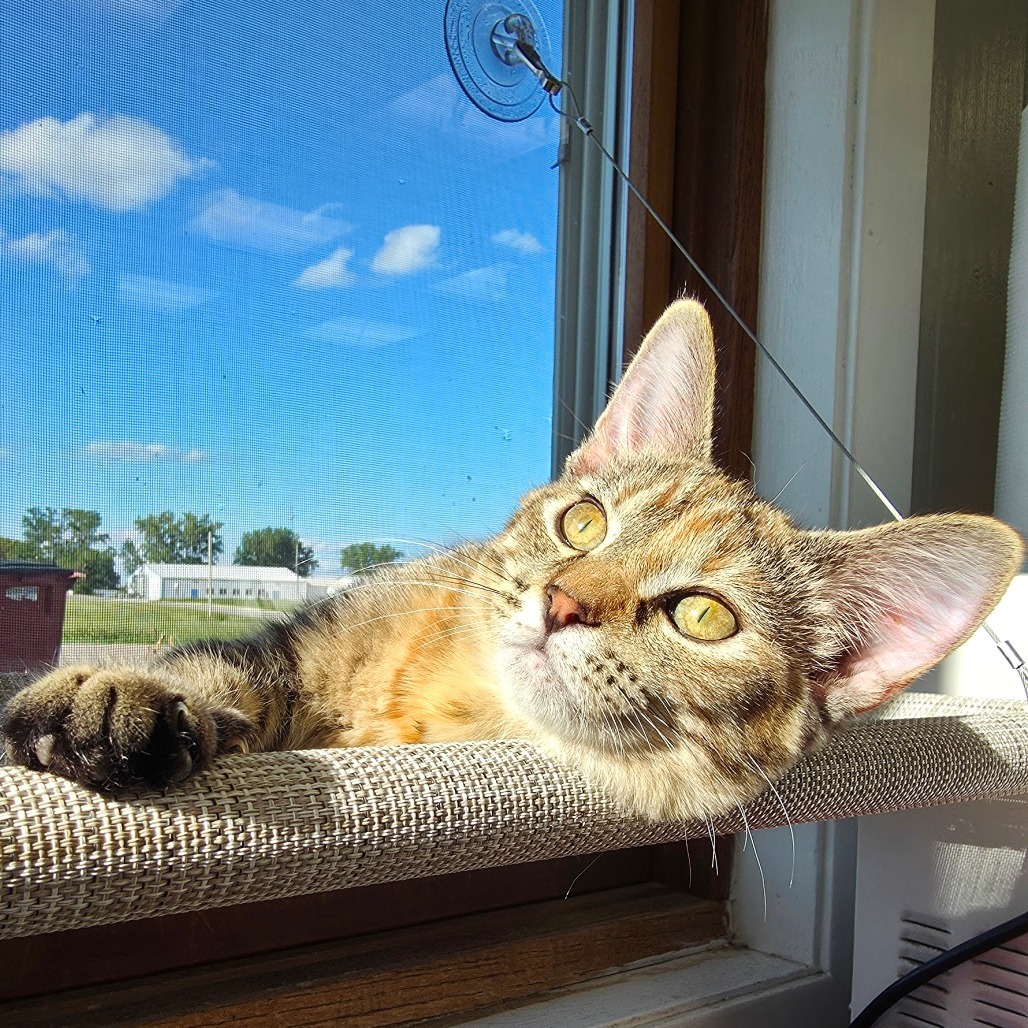 Geri