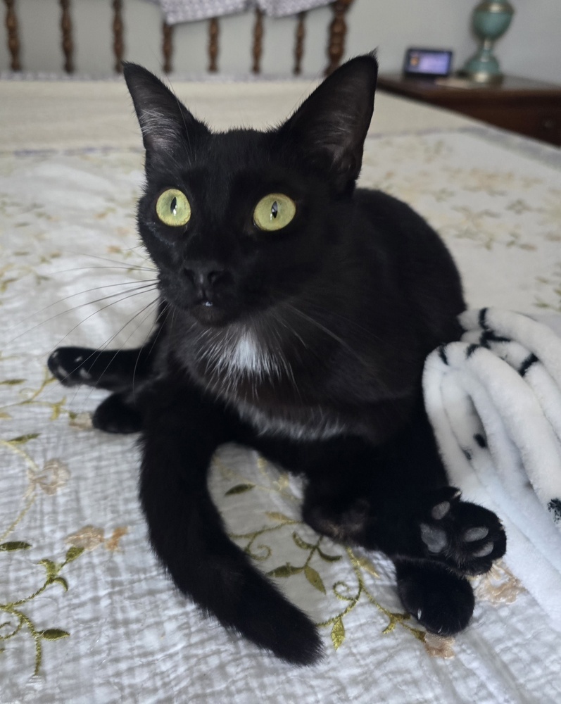 Miss Moneypenny