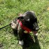 Tucker photo 6