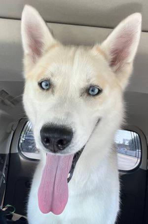 Lucy