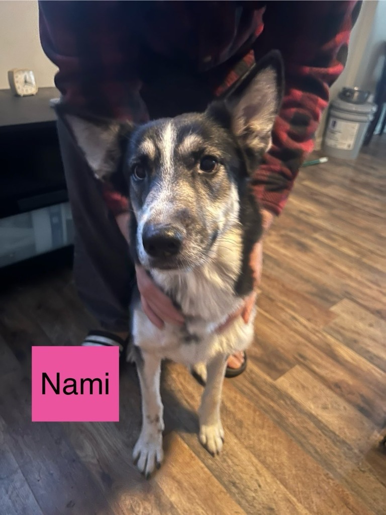 Nami
